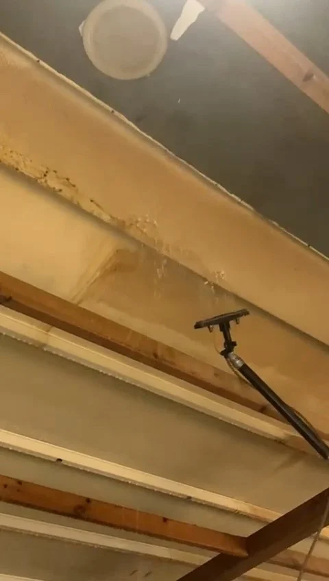 Video-20260701122053-15